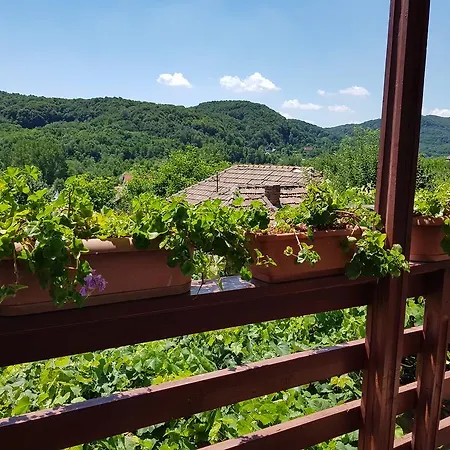 Casuta Dintre Dealuri Vladesti